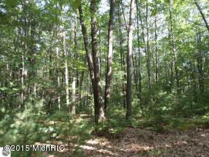 3454 Maple Rd, Manistee, MI 49660 photo 44