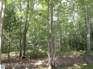 3454 Maple Rd, Manistee, MI 49660 photo 40
