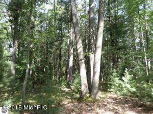 3454 Maple Rd, Manistee, MI 49660 photo 43