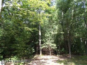 3454 Maple Rd, Manistee, MI 49660 photo 42