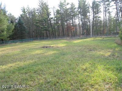 8493 E 16th St, White Cloud, MI 49349 photo 5