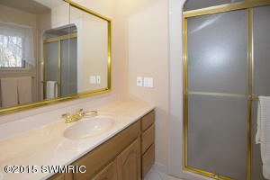 258 Golfview Dr, Plainwell, MI 49080 photo 17