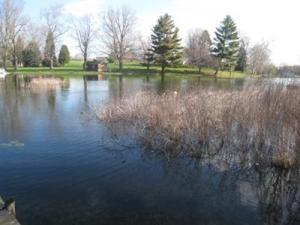 10727 E Ctr, Plainwell, MI 49080 photo 23