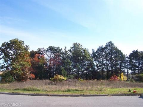 7189 Eagle Ter, Mattawan, MI 49071 photo 2