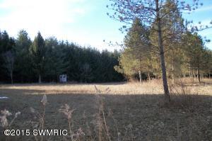 5811 E Bacon Rd, Osseo, MI 49266 photo 20