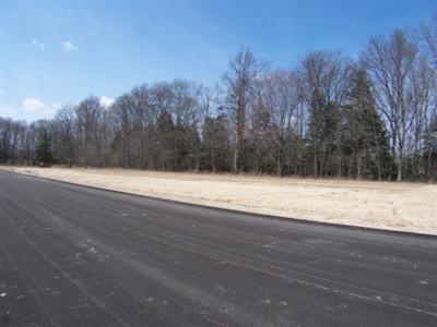 135 Th Ave, Hamilton, MI 49419 photo 3