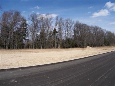 135 Th Ave, Hamilton, MI 49419 photo 5