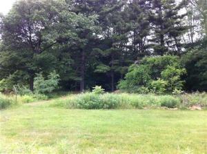 224 Arthur St, Manistee, MI 49660 photo 21