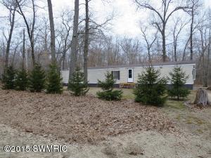 901 53rd St, Pullman, MI 49450 photo 2