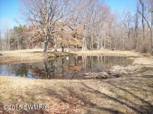261 S Stevenson Rd, Stanton, MI 48888 photo 17