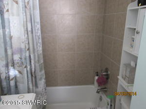 781 Thompson Dr, Stanton, MI 48888 photo 13