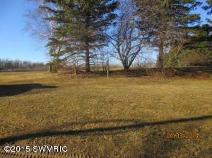 781 Thompson Dr, Stanton, MI 48888 photo 8