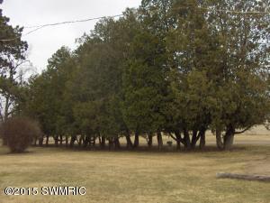 1350 Staley Rd, Lyons, MI 48851 photo 16