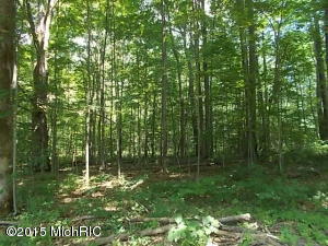 2767 N Wisner Ave, White Cloud, MI 49349 photo 27