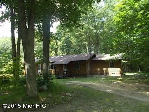 2767 N Wisner Ave, White Cloud, MI 49349 photo 1