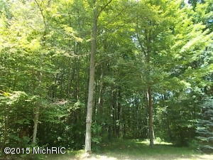 2767 N Wisner Ave, White Cloud, MI 49349 photo 29