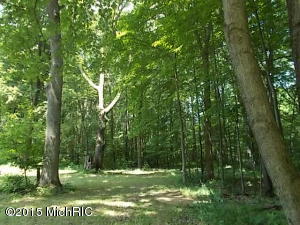 2767 N Wisner Ave, White Cloud, MI 49349 photo 28