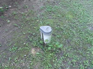 2767 N Wisner Ave, White Cloud, MI 49349 photo 25