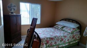 402 Reid Dr, Stanton, MI 48888 photo 10