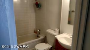 402 Reid Dr, Stanton, MI 48888 photo 12