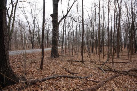 64 Th Ave, Mattawan, MI 49071 photo 1