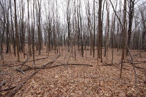 64 Th Ave, Mattawan, MI 49071 photo 2
