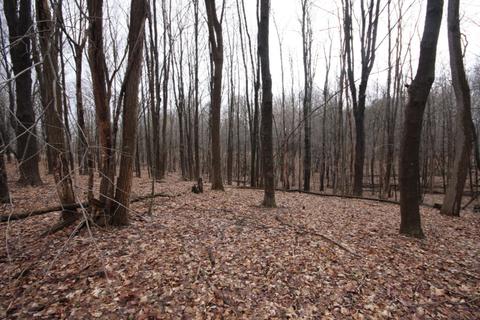 64 Th Ave, Mattawan, MI 49071 photo 5