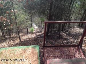 5588 E 52nd St, Newaygo, MI 49337 photo 5
