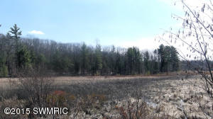 9080 S Two Lakes Dr, Baldwin, MI 49304 photo 14