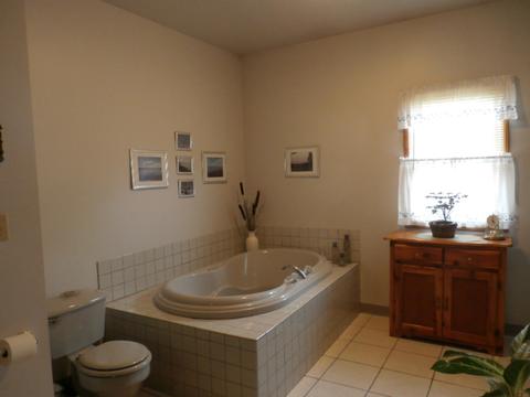 212 Walnut, Reading, MI 49274 photo 11