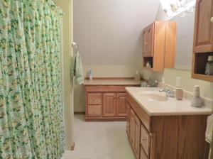 10074 Walnut, Three Rivers, MI 49093 photo 21