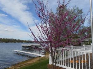 10074 Walnut, Three Rivers, MI 49093 photo 7