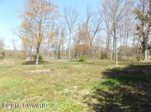 16192 Mintdale Rd, Constantine, MI 49042 photo 28