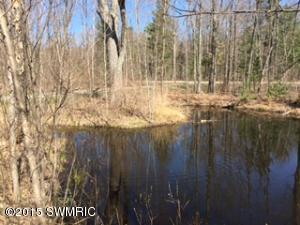 22705 Cutler, Newaygo, MI 49337 photo 7