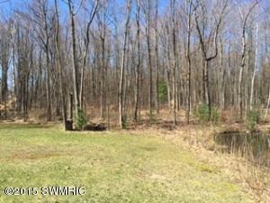 22705 Cutler, Newaygo, MI 49337 photo 4