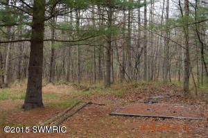 9011 E 36th St, Newaygo, MI 49337 photo 8