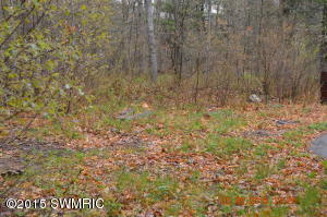 9011 E 36th St, Newaygo, MI 49337 photo 9