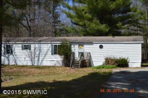 9011 E 36th St, Newaygo, MI 49337 photo 1