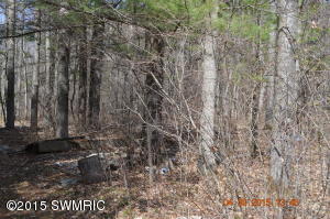 9011 E 36th St, Newaygo, MI 49337 photo 3