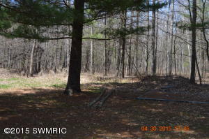 9011 E 36th St, Newaygo, MI 49337 photo 2