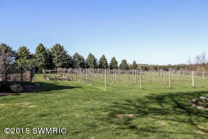 1073 62nd St, Pullman, MI 49450 photo 52