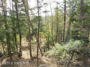 8863 E Ruth Dr, Walkerville, MI 49459 photo 5