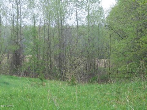 5500 E Tyler Rd, Walkerville, MI 49459 photo 8