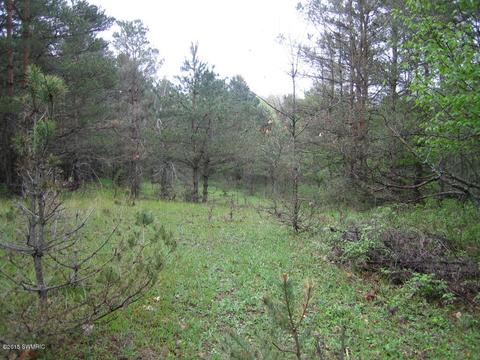 5500 E Tyler Rd, Walkerville, MI 49459 photo 7