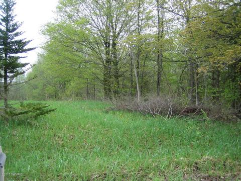 5500 E Tyler Rd, Walkerville, MI 49459 photo 9