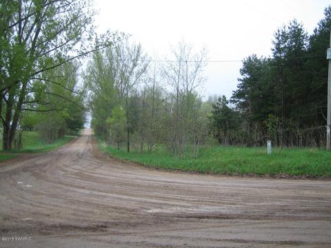 5500 E Tyler Rd, Walkerville, MI 49459 photo 10