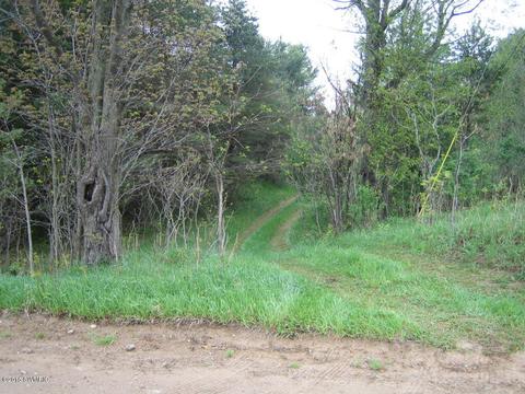 5500 E Tyler Rd, Walkerville, MI 49459 photo 1