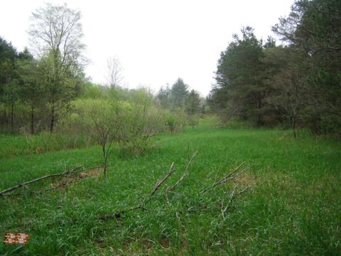 5500 E Tyler Rd, Walkerville, MI 49459 photo 3