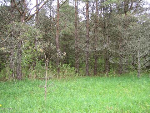 5500 E Tyler Rd, Walkerville, MI 49459 photo 5