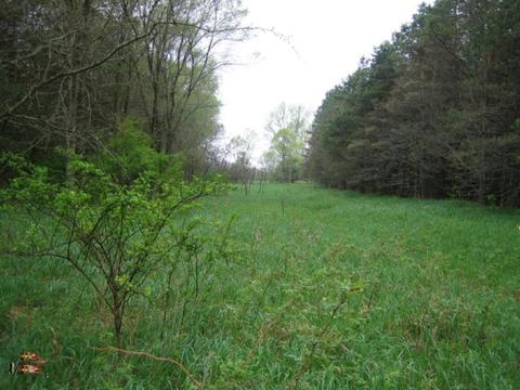 5500 E Tyler Rd, Walkerville, MI 49459 photo 4